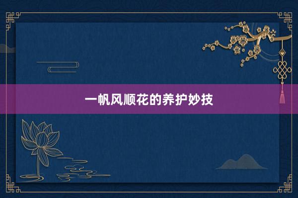 一帆风顺花的养护妙技