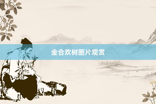 金合欢树图片观赏