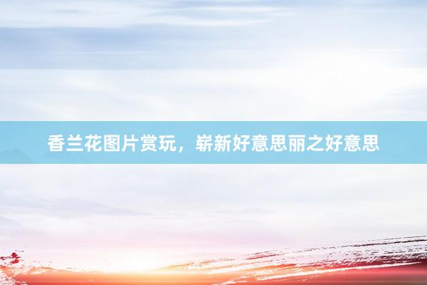 香兰花图片赏玩，崭新好意思丽之好意思