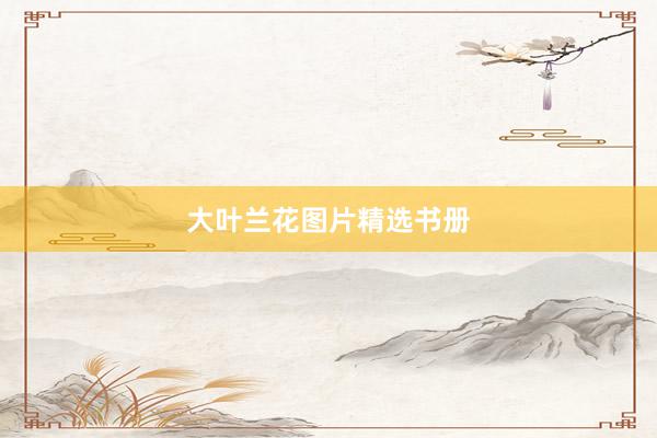 大叶兰花图片精选书册