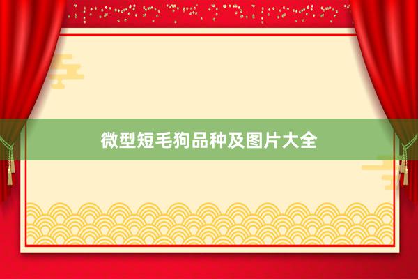 微型短毛狗品种及图片大全