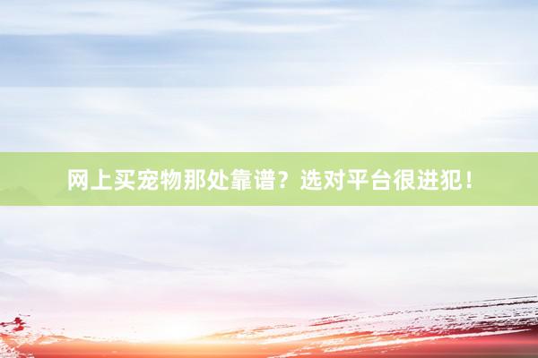 网上买宠物那处靠谱？选对平台很进犯！